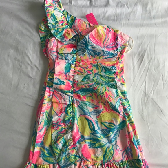 ❌❌Lilly Pulitzer Dress❌❌❌❌ - Picture 4 of 10